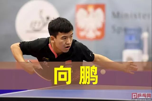 好地发挥他 好地发挥他